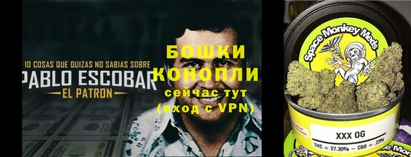 СК Надым