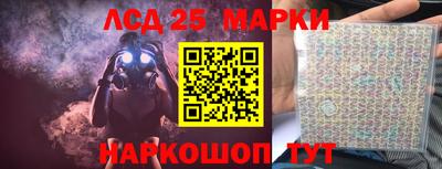 гидропоника Кунгур