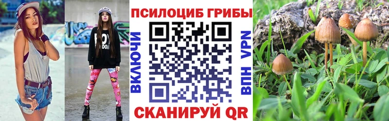 купить сайты KRAKEN tor Псилоцибиновые грибы Cubensis Балашиха