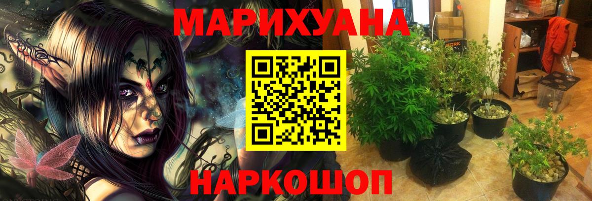 Конопля сатива  Конопля индика  Вход с VPN  Балашиха  Бошки Шишки конопля 